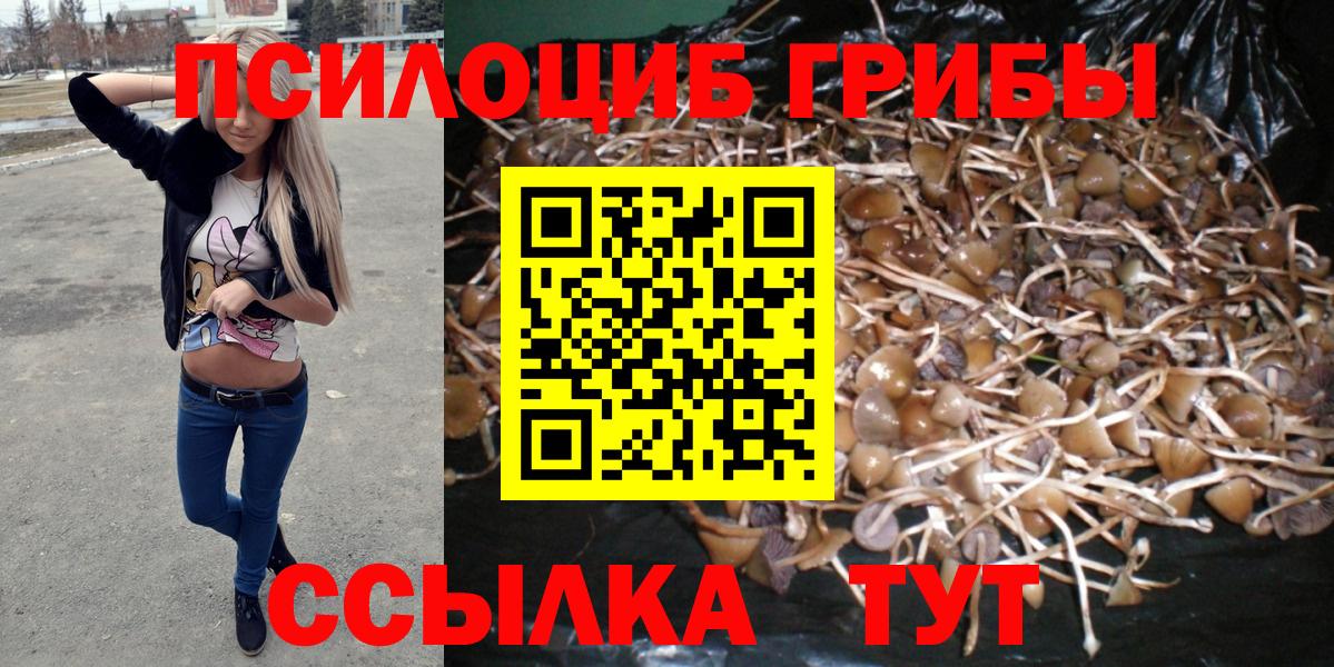 Галлюциногенные грибы Magic Shrooms Королёв