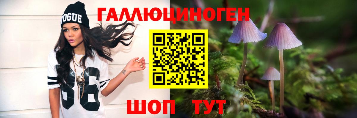 Королёв  Псилоцибиновые грибы мицелий  Вход с VPN 